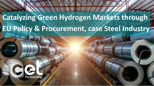 Catalyzing Green Hydrogen Markets through EU Policy & Procurement, case Steel Industry 